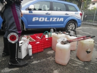 Non si fermano all’alt, la polizia insegue due ladri