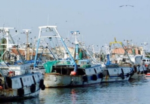 Appello Blue economy, Gnassi e Montini con le Marinerie