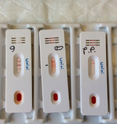 Screening sierologico, campagna al via per i nonni non conviventi