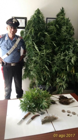 Spaccio, un arresto e due denunce