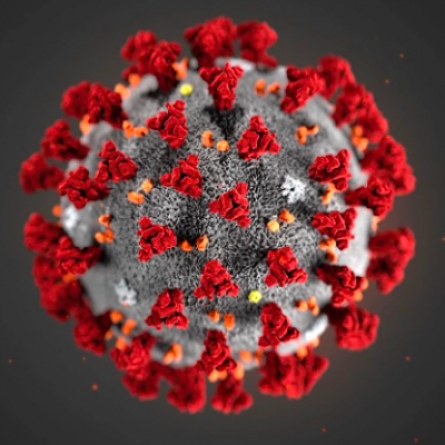 Aggiornamento coronavirus: + 10 positivi a Rimini, nessun decesso