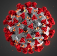 Aggiornamento coronavirus: 13.119 positivi, 1357 nel riminese. Venturi: case protette ormai unici veri focolai