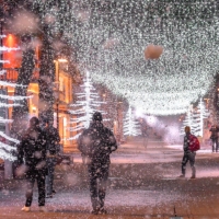 Riccione, a viale Ceccarini è arrivato il Natale con 400mila luci