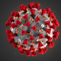 Coronavirus, aggiornamento regionale: 478 nuovi positivi in più oggi, 69 a Rimini