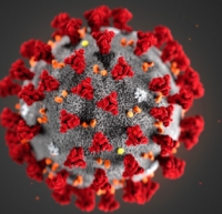 Aggiornamento coronavirus: 17.089 persone positive, 1.553 a Rimini. Venturi: si conferma andamento giorni scorsi