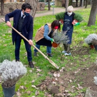 Giardini di viale Matteotti, al via la riqualificazione