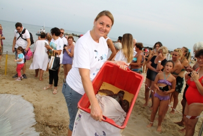 La tartaruga Federica ritrova il mare a Cattolica